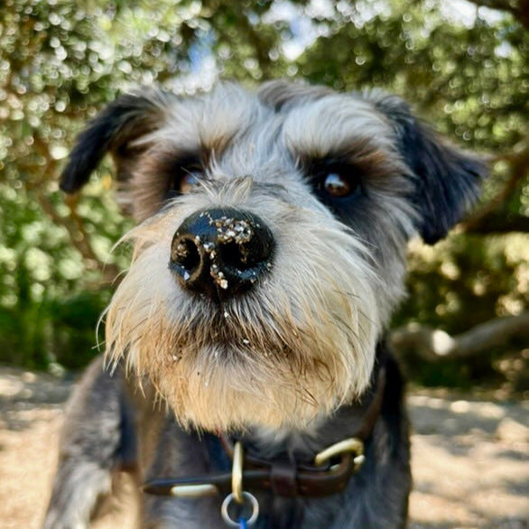 Snozz & Paw Natural Balm
