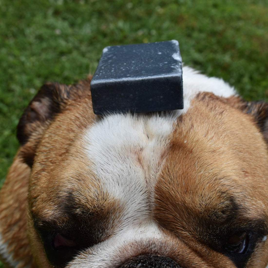 Chunky Charcoal Soap Block