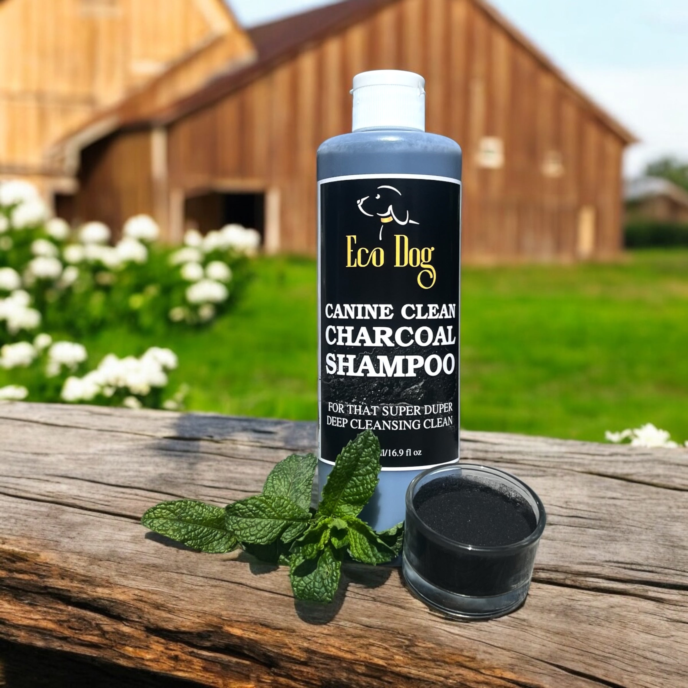 Deep Clean & Dog Shine Bundle