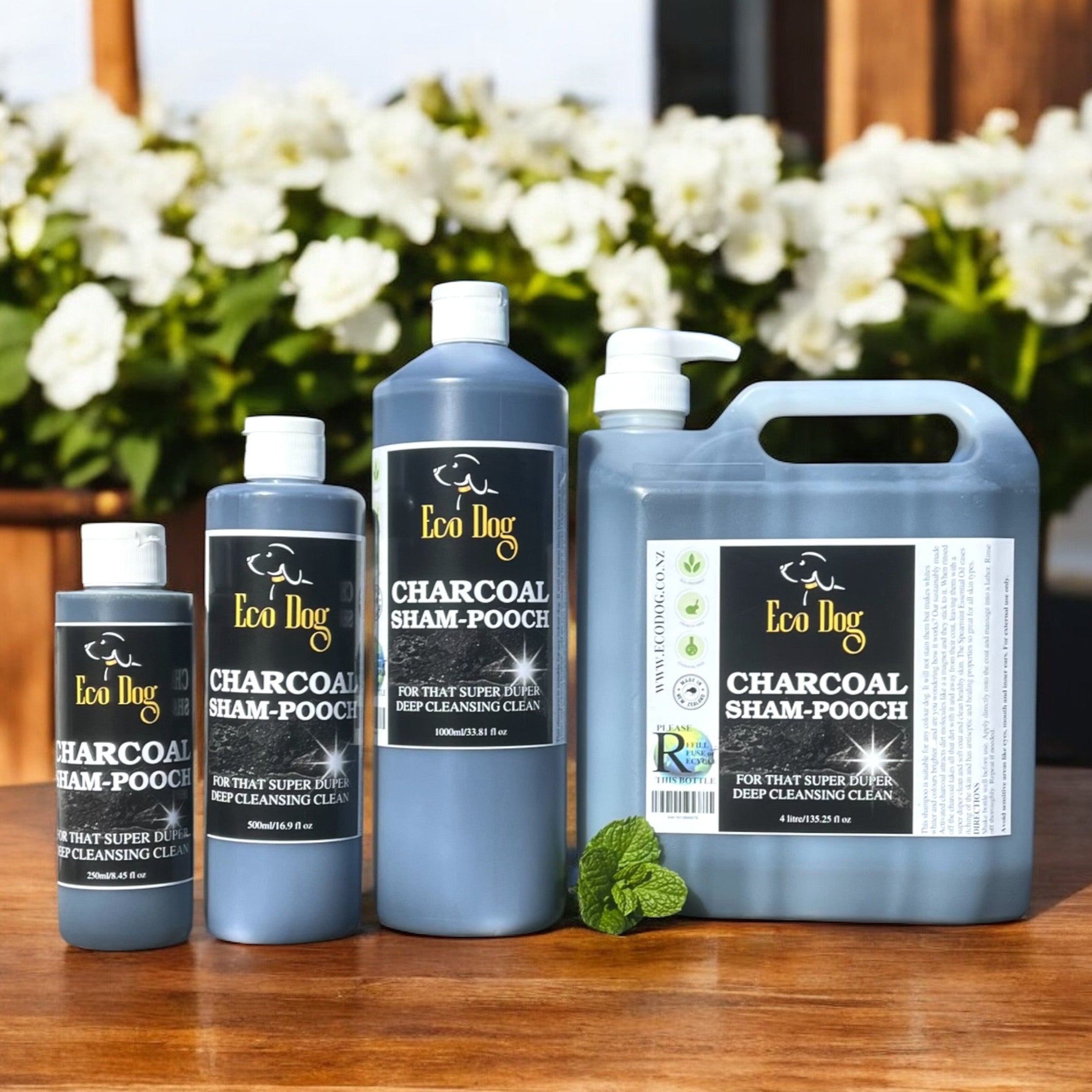 Curated visual reference: Fresh Look at Charcoal Sham Pooch