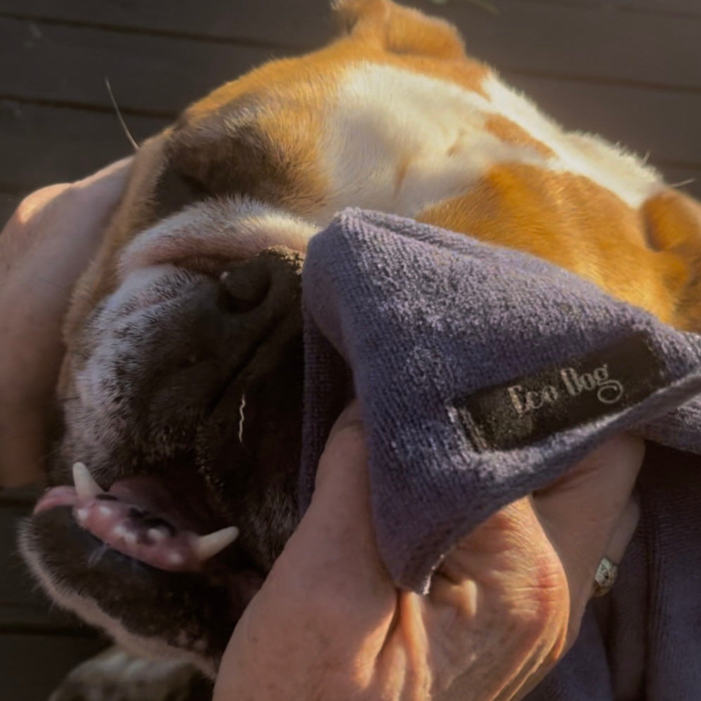 Boop Cloth