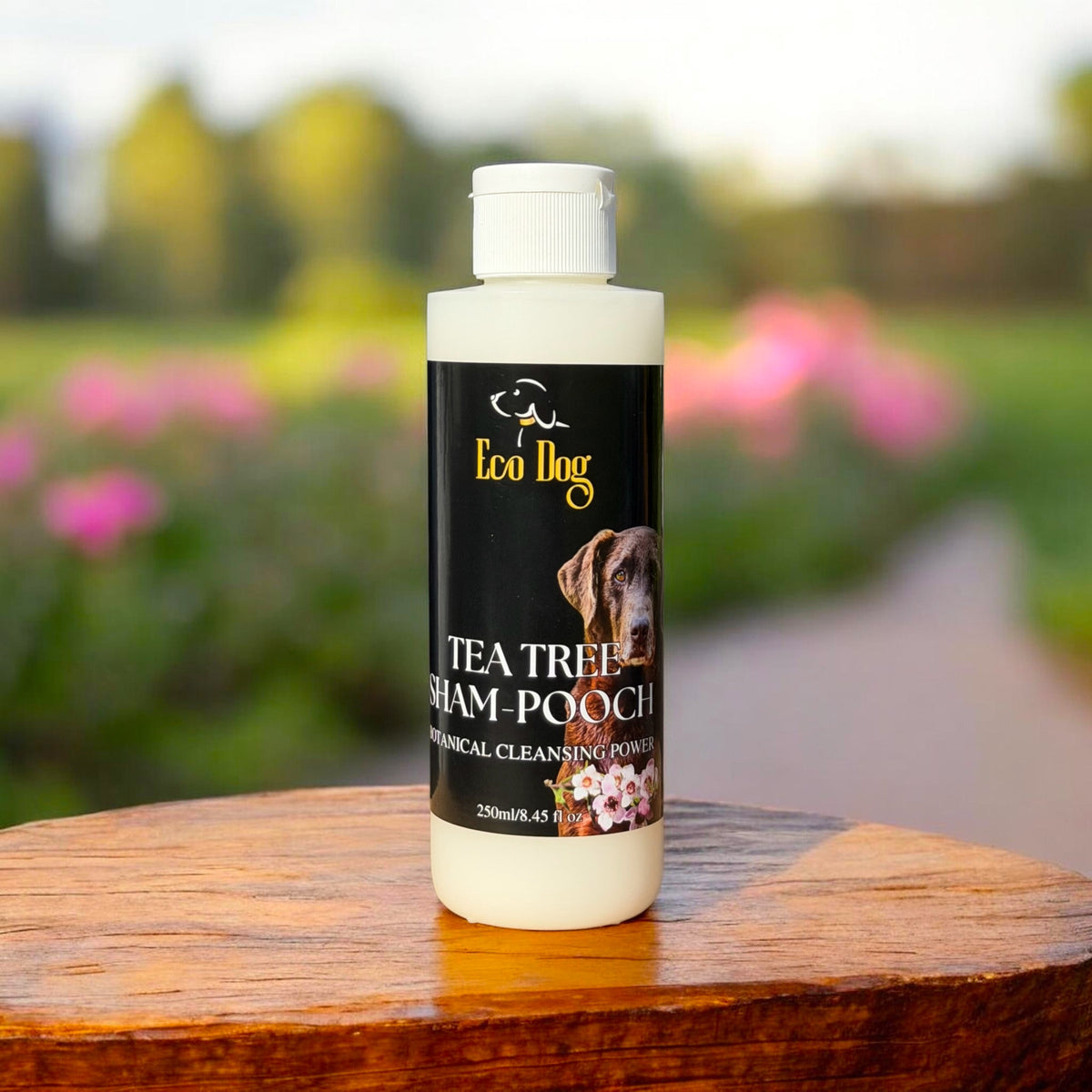 Tea Tree Sham-Pooch