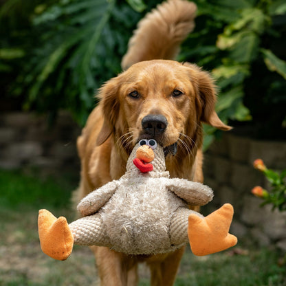 Doggy Laundry Wash