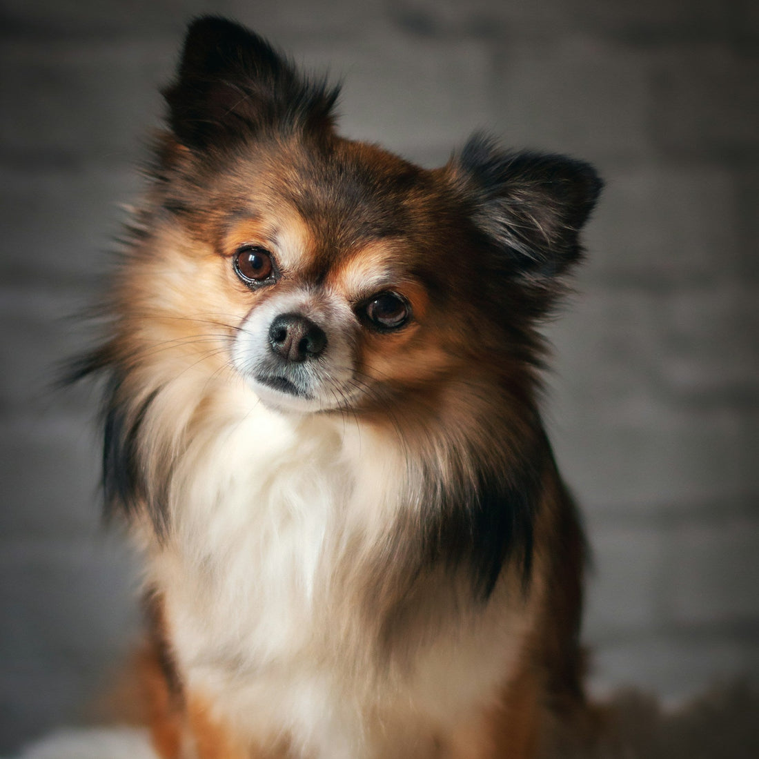 Whiff Away Dog Spray