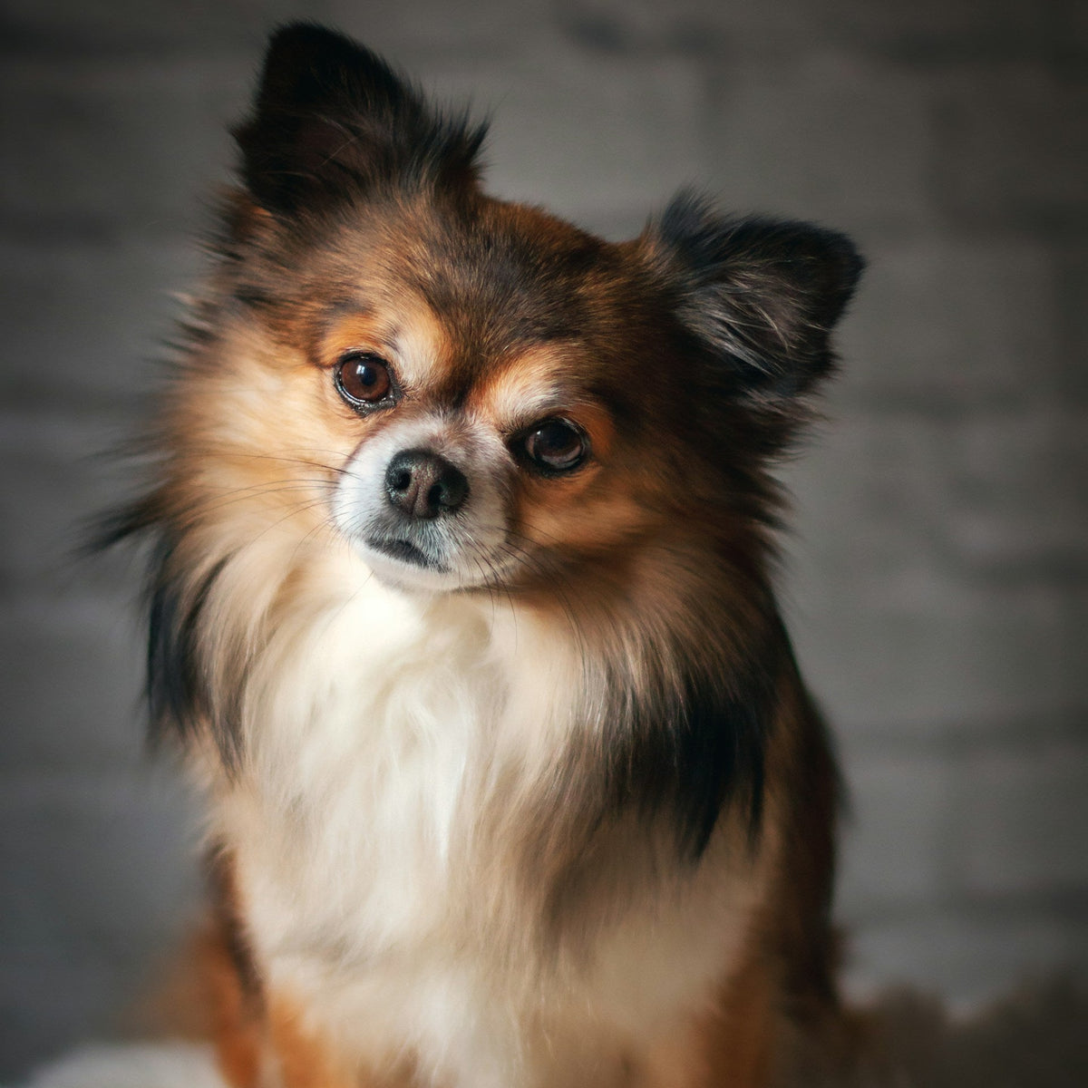 Whiff Away Dog Spray