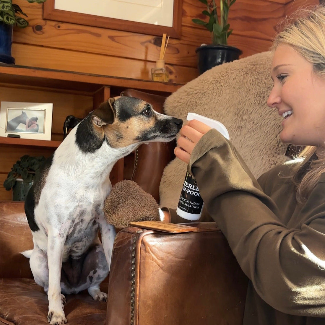 Waterless Sham-Pooch